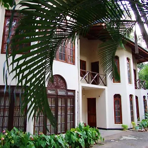 Tree Breeze *** Kandy